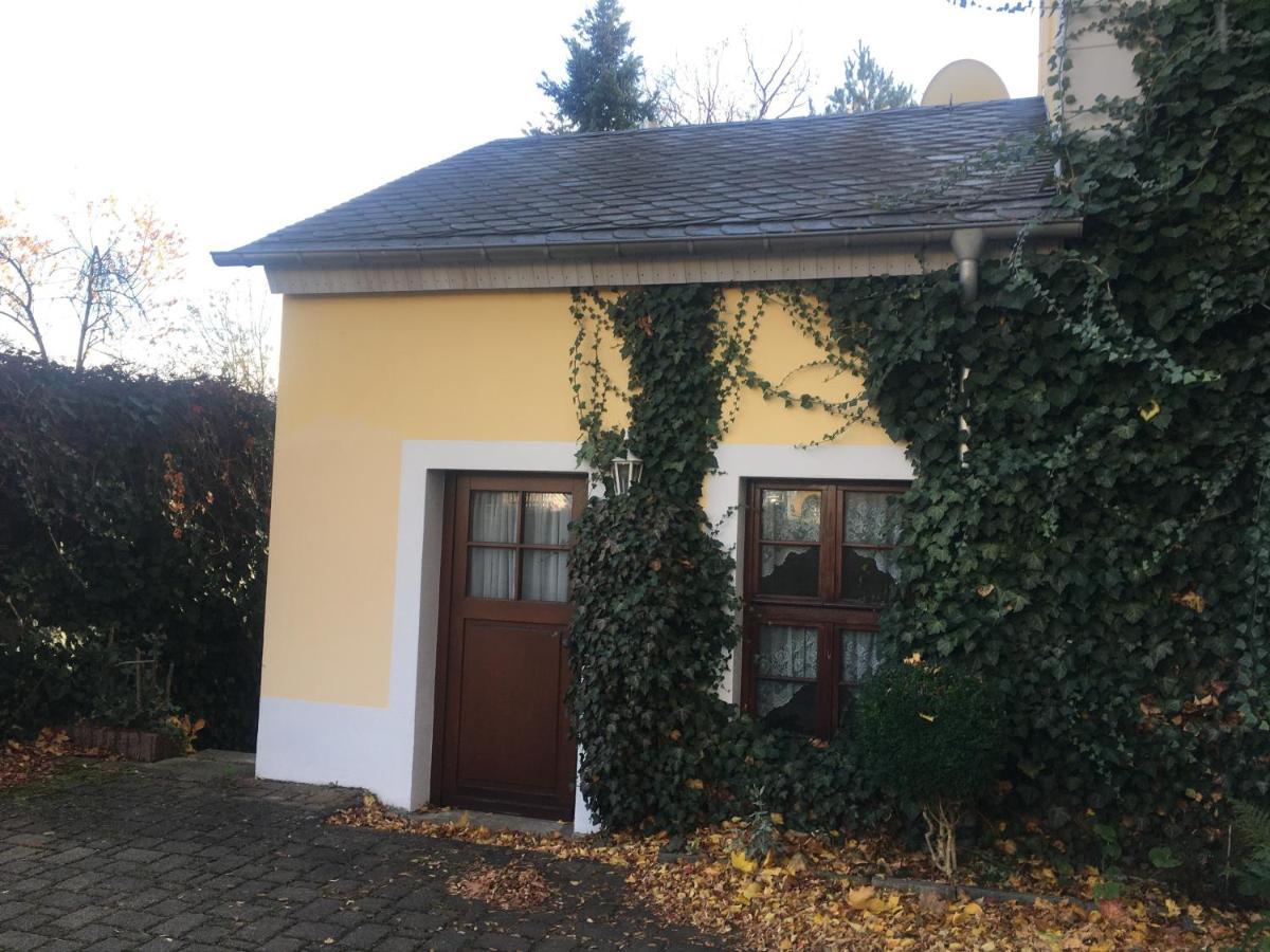 Schnorr-villa Schneeberg (Saxony)