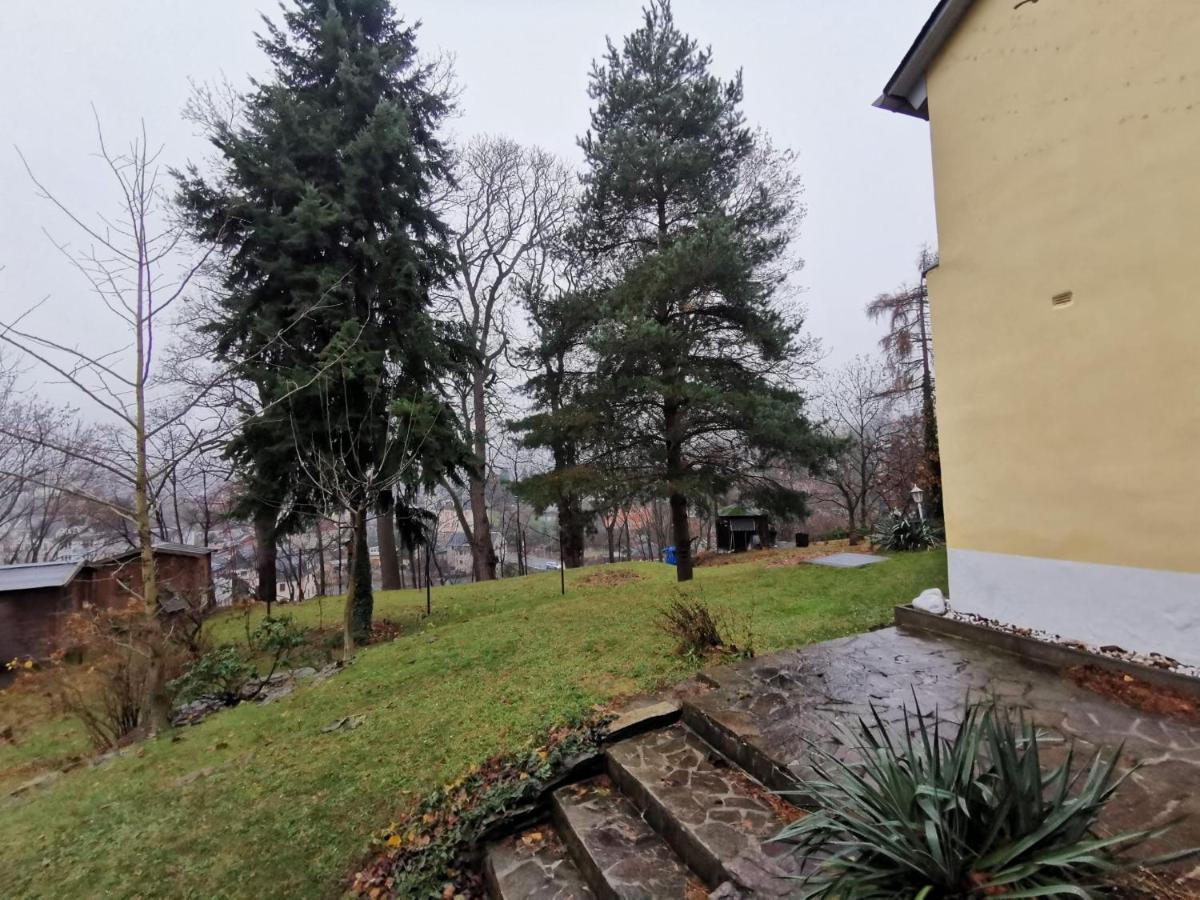 Schnorr-villa * Schneeberg (Saxony)